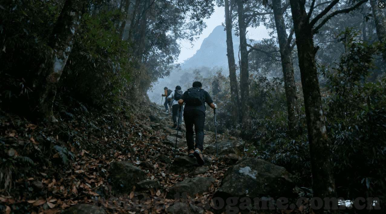 世界杯网上不能投注-世界杯网上不能投注，理性观赛，远离赌博陷阱